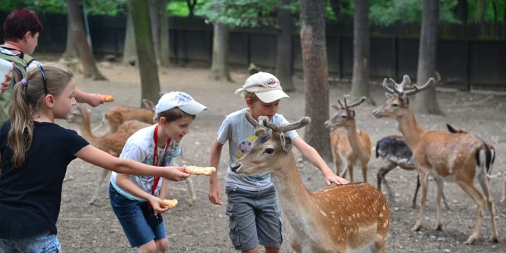 Komentovaná prohlídka zookoutku Chuchle i s krmením zvířat