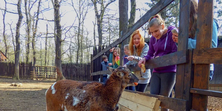Komentovaná prohlídka zookoutku Chuchle i s krmením zvířat