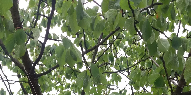 Vstupy do zábavního parku Permonium® nebo Duhového světa