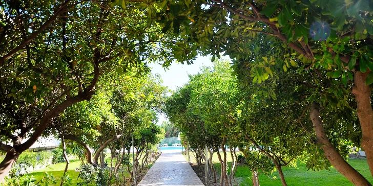 Rhodos: 3* hotel 200 m od pláže, all inclusive light, letenka, transfer, delegát