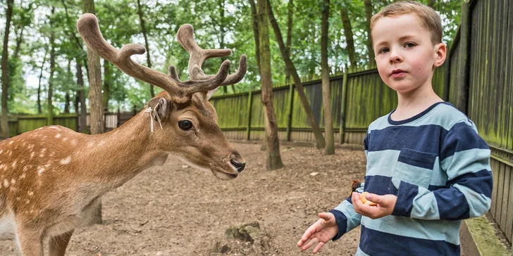 Komentovaná prohlídka zookoutku Chuchle i s krmením zvířat