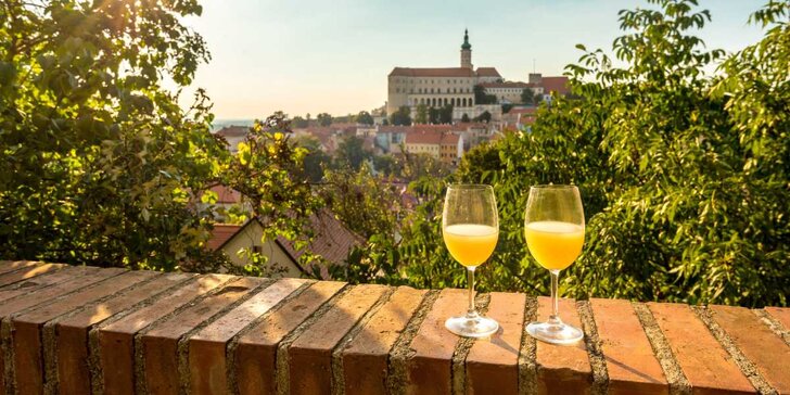 2denní zájezd na Moravu vč. ubytování: turistika, Lednicko-valtický areál i moravský večírek s vínem