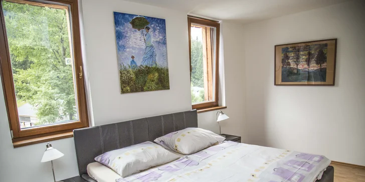 Apartmán DeLuxe