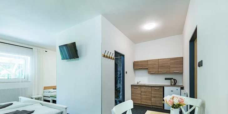 V apartmáne je aj malá kuchynka.