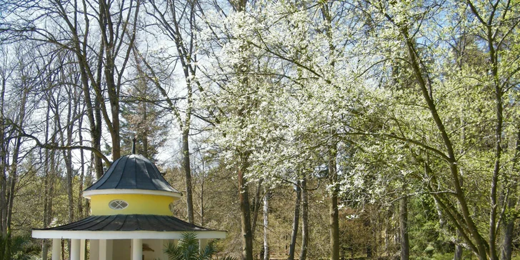 3denní odpočinek v Konstantinových Lázních: polopenze a wellness