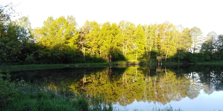 Ryby se neponechávají ani neodkupují – rybolov je pouze chyť a pusť. 