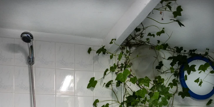 Čekat tu na vás bude i bio kosmetika, ručníky a župany. 