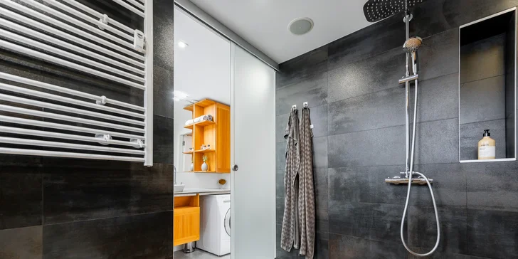 Luxury Apartment