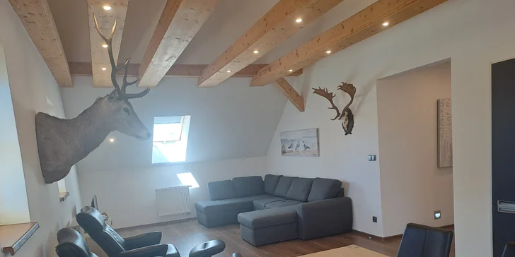  V apartmánu je oddělená ložnice, obývací prostor a kuchyňka s kávovarem.