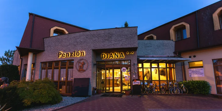Oddýchnite si v Penzióne Diana***, ktorý vám okrem priestoru, kde si pohodlne zložíte hlavu, poskytne aj výnimočný relax vo wellness.