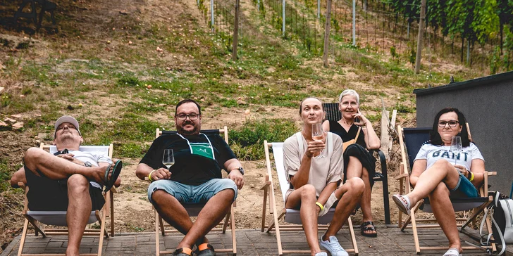 Jaká vína ochutnáte? Tak např. ta od vinařství Štěpánek, Trávník, Mokruša či Joch. 