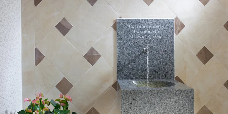 Přímo v hotelu je minerální pramen, vychutnávat si ho můžete třeba denně. 