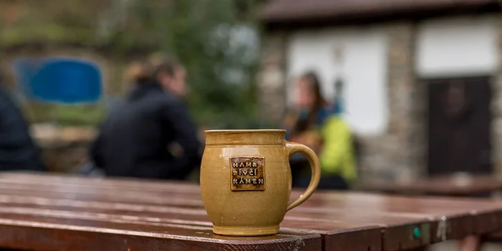 Prozkoumávat okolí můžete jak na kole, tak pěšky.  Jen 400 metrů to třeba budete mít ke zřícenině hradu Dívčí kámen. 