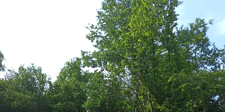 Nakoukněte i do čajového domečku. 