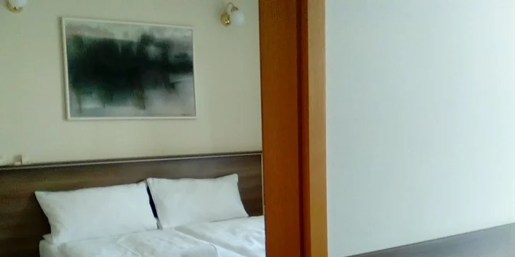 Pokoj disponuje samostatnou ložnicí a obývacím pokojem s kuchyňským koutem. 