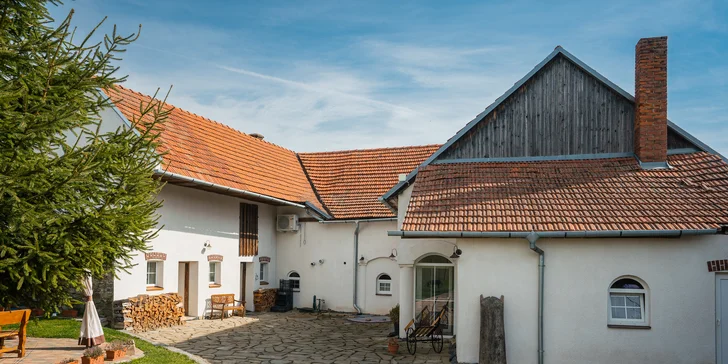 Ke šnečímu ragú a kanapkám či gratinovaným šnekům si vychutnáte i pečlivě napárovaná vína, případně pivo.