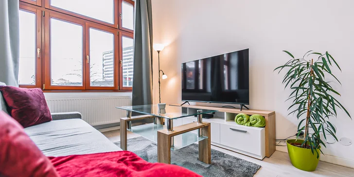 Modern Apartment 2