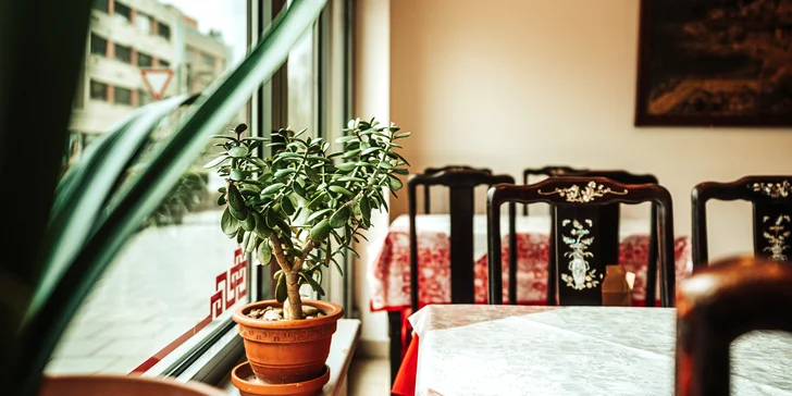 V tradičně zařízené čínské restauraci Shanghai si vychutnáte pečlivě sestavený výběr jídel.