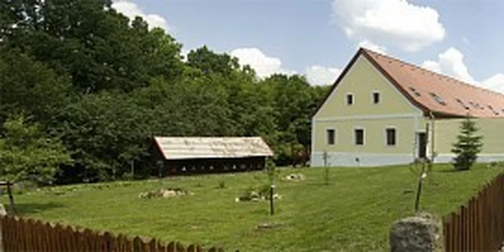 Okolí prozkoumejte pěšky nebo na kolech (v penzionu vám je půjčí, mají tu i úschovnu), případně si domluvte vyjížďku na koních. 