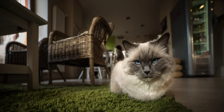 ...když zrovna nedělá modelku.