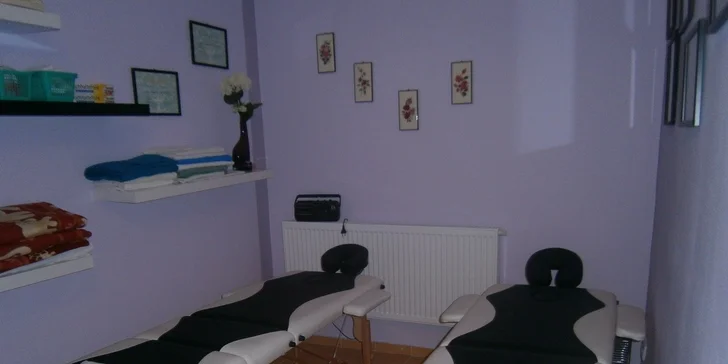 Do 70 metrů vzdáleného wellness centra si můžete zajít na masáž.