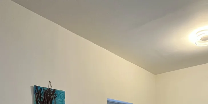 Nechybí jídelní kout a plně vybavená kuchyně.