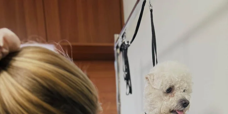Každému psíkovi sa groomer venuje individuálne s dostatkom času a trpezlivosti.