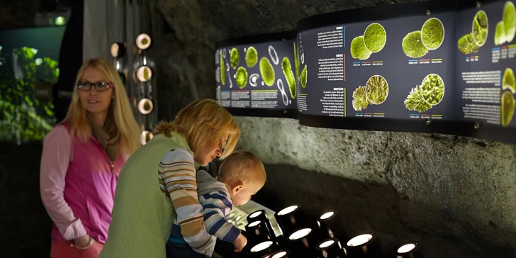 Samozřejmostí je i vstupenka do muzea, kde si užijete interaktivní expozici o historii a současnosti vltavínů.