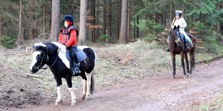 Stačí vám jen nadšení, pokora a láska ke koním. O všechno ostatní se postará kůň a instruktor.