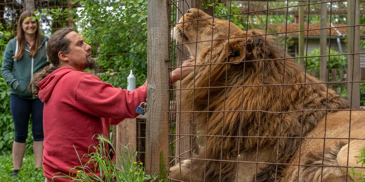  Zažijete den plný péče a seznámení se zvířaty v soukromém zooparku. 