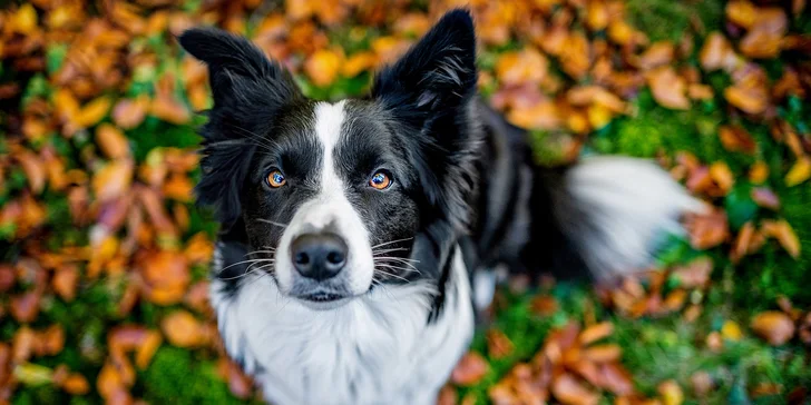 V nabídce je 8 nebo 10 upravených fotografií (podle zvoleného voucheru). 