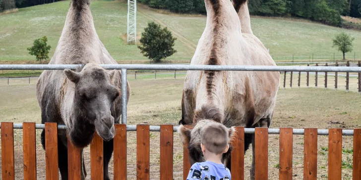 Farmapark pro jednotlivce i rodiny: krmení zvířátek a spousta atrakcí