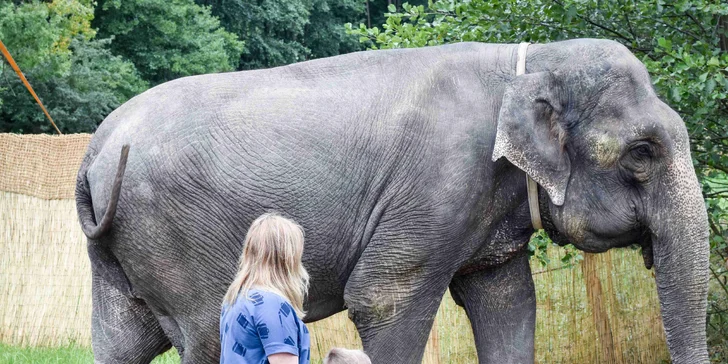 Farmapark pro jednotlivce i rodiny: krmení zvířátek a spousta atrakcí