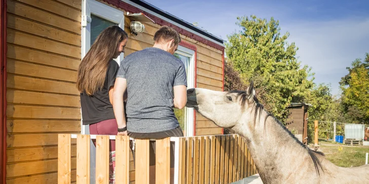 Maringotka je umístěna přímo na louce s koňmi, kde má svůj oddělený prostor pro vlastí parkoviště a posezení včetně privátního ohniště.