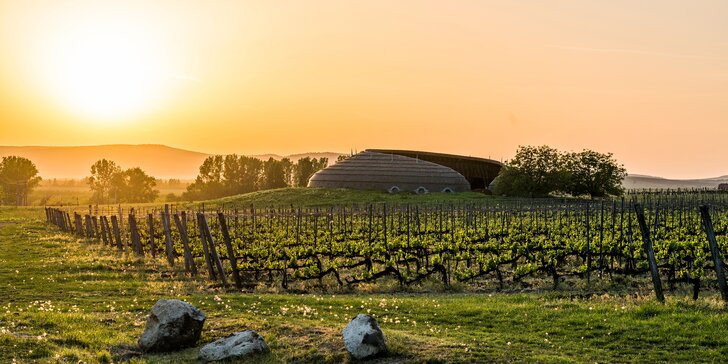 Wellness pobyt s ochutnávkou vína ve slavné vinařské oblasti v Maďarsku