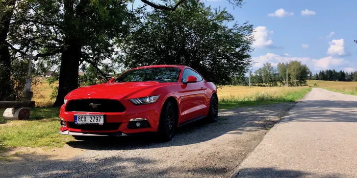 Zkroťte 421 koní: jízda ve Fordu Mustang GT nebo pronájem na 24 hodin