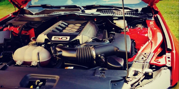 Zkroťte 421 koní: jízda ve Fordu Mustang GT nebo pronájem na 24 hodin