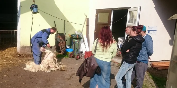 Vláčkem ze Svatováclavských slavností: do Kittelova areálu i pivovaru Rezek