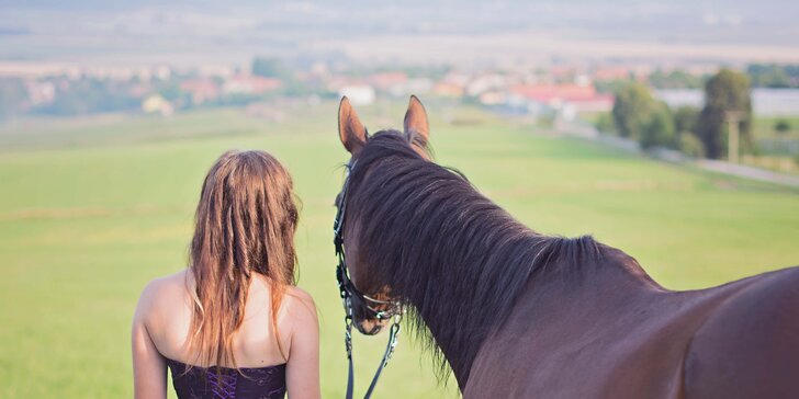Krásný dárek pro milovníky koní: exteriérové focení s koníkem