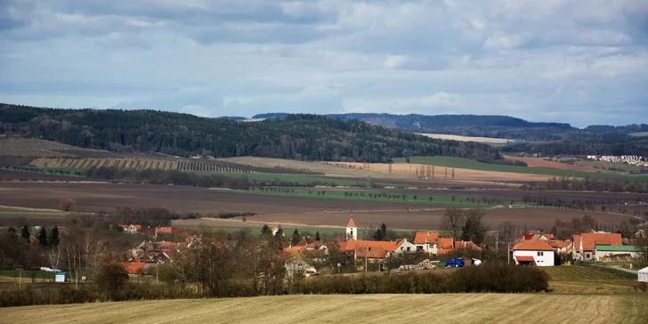 Užijte si báječný den u koní: výuka ve stáji, sedlání i vyjížďka do přírody