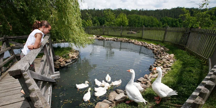 Rodinný pobyt na Farmě Blaník se snídaní, spoustou zážitků a zvířátek