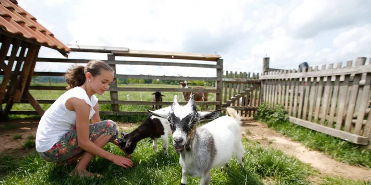 Rodinný pobyt na Farmě Blaník se snídaní, spoustou zážitků a zvířátek