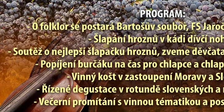 Akce Šlapání hroznů dívčí nohou: zábava, muzika i degustace vína