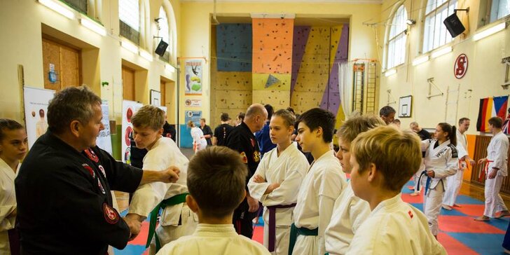 Vyřáděte se ve stylu japonských mistrů: hodinová lekce karate