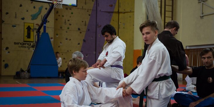 Vyřáděte se ve stylu japonských mistrů: hodinová lekce karate