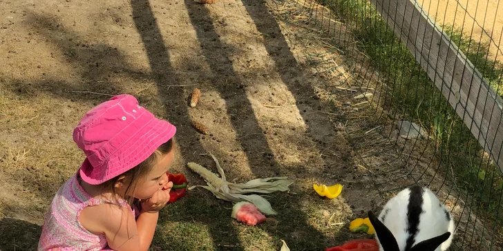 Navštivte velbloudy, lamy, vodního buvola a další zvířátka na Statku u Merlina
