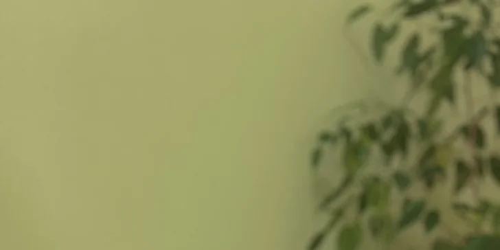 V nabídce jsou jednorázové procedury nebo výhodné permanentky na 5 ošetření.