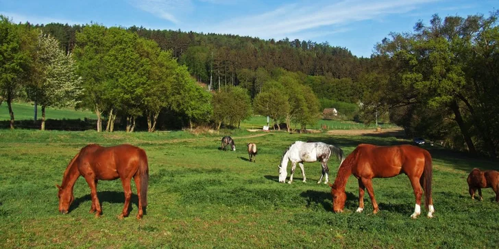 Relax pobyt pro dva nebo rodinu s neomezeným vstupem do nového wellness