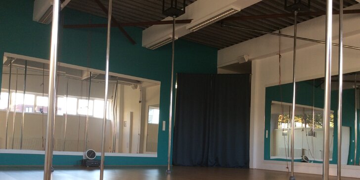 Do pohybu: Dvouhodinový workshop tance pole dance nebo aerial hoop