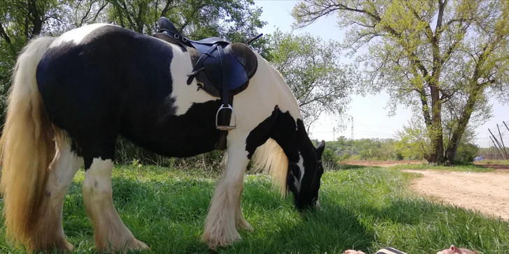 Jeden den farmářem: zážitkový pobyt na farmě pro jednoho i celou rodinu